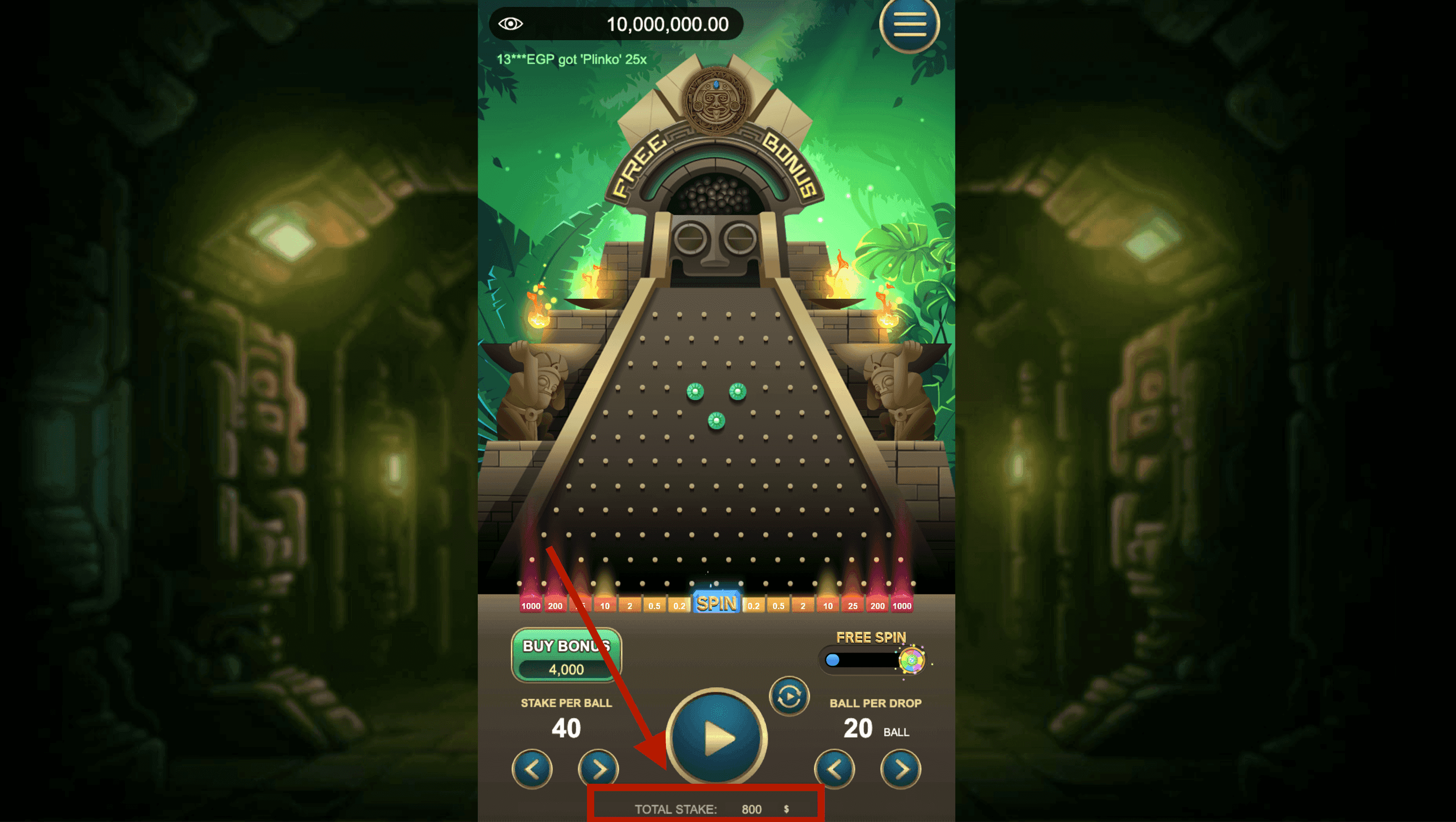 Step 3: Calculate Total Stake