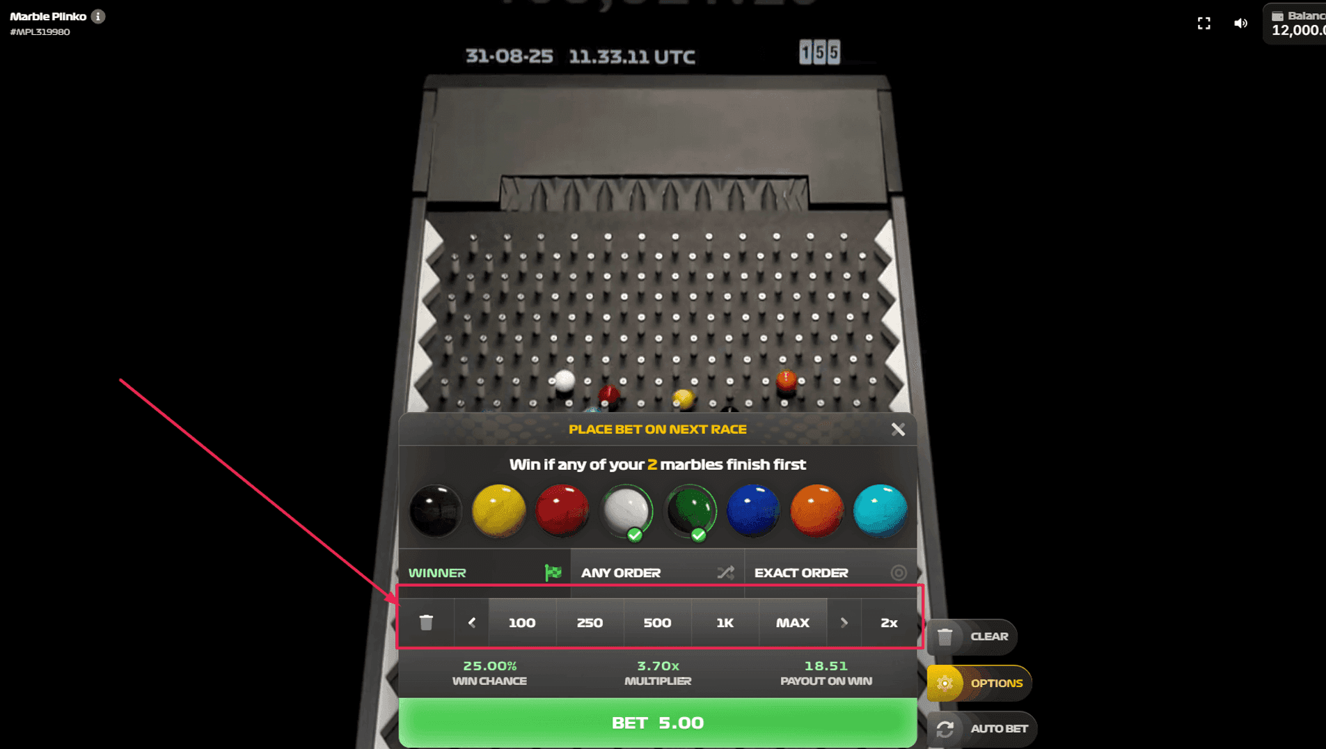 Step 5: Set Your Bet